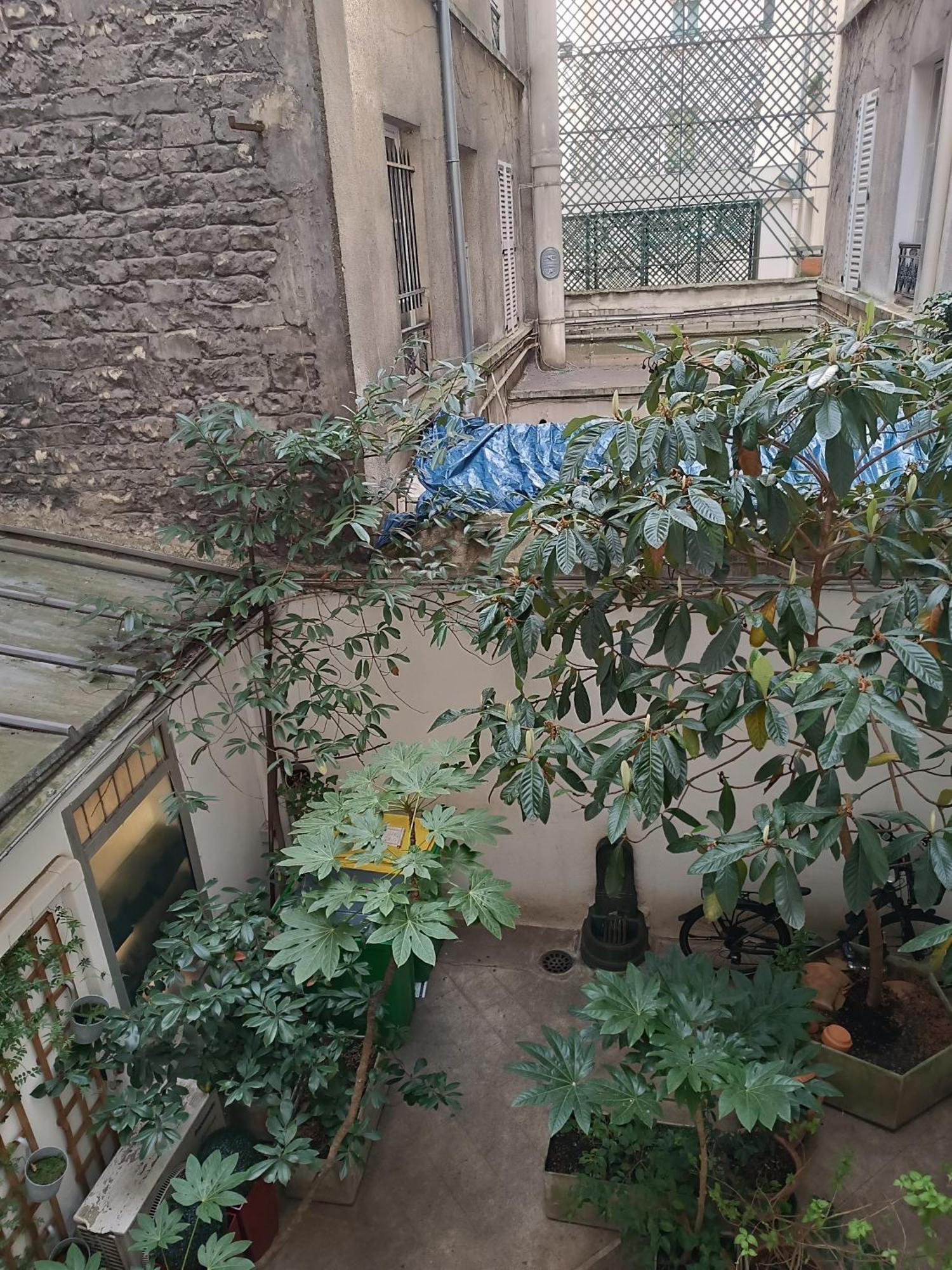 Studio Cosy Paris 6Eme Bon Marche Экстерьер фото
